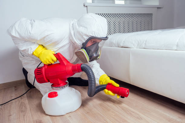 Best Affordable Pest Control Services  in Yorklyn, PA