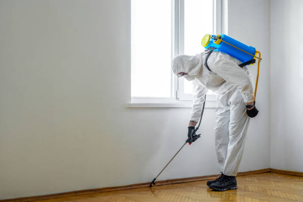 Best Termite Control Services  in Yorklyn, PA